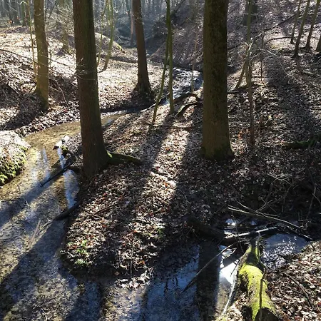 Vacation With Pool In Seusslitzer Grundool * Niederdorla